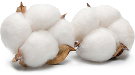 cotton